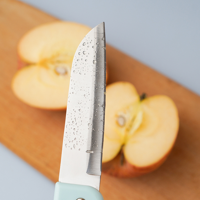 盘水果刀-07